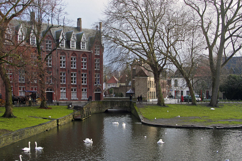 фото "Swans in Brugge" метки: путешествия, Европа