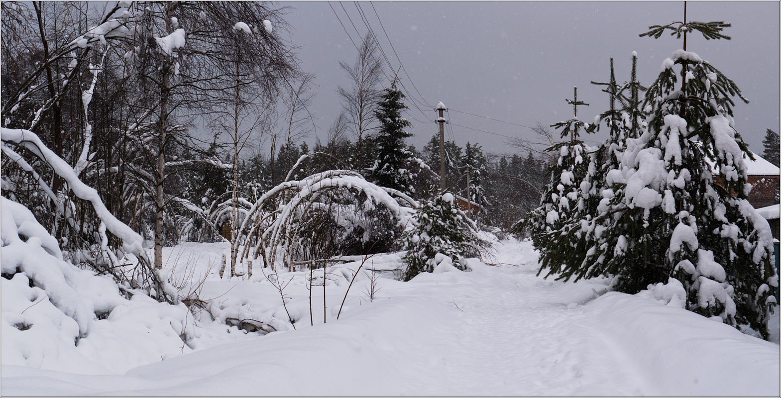 фото "Тихо падает снег.." метки: пейзаж, зима