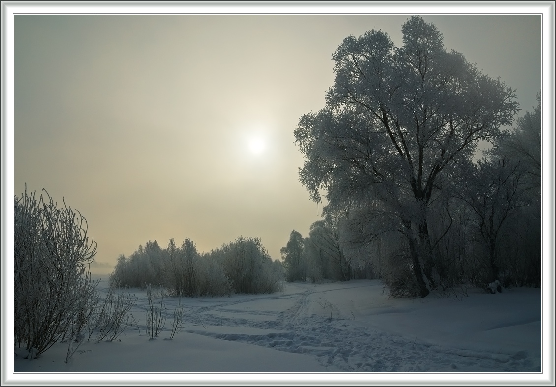 photo "***" tags: landscape, forest, winter