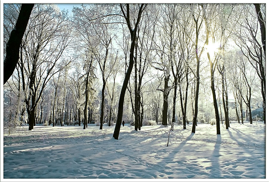 photo "Footprints" tags: landscape, city, winter