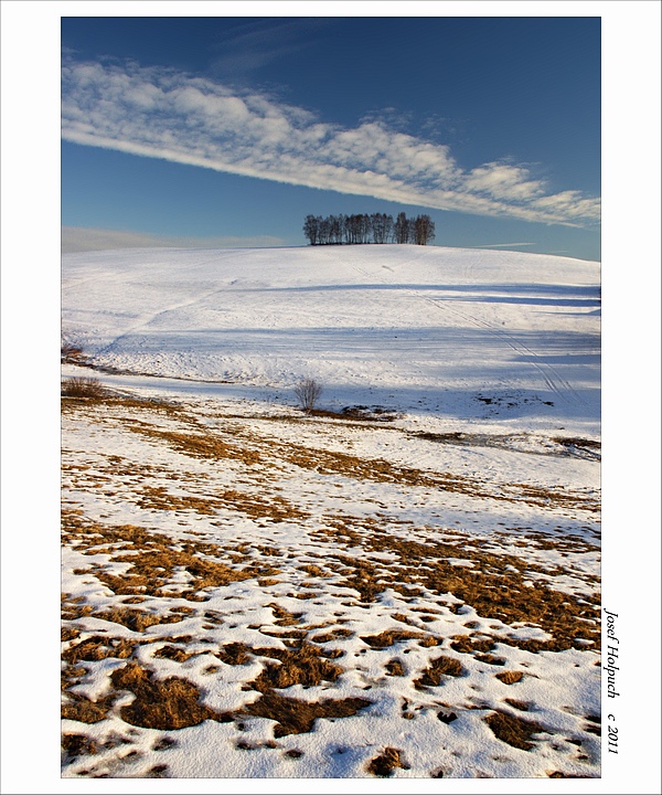 photo "group therapy ll." tags: landscape, winter