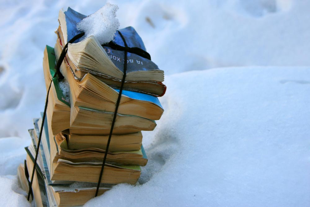 photo "***" tags: landscape, still life, winter