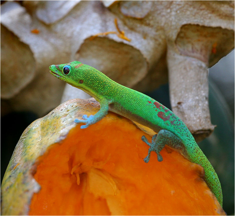 photo "This breakfast is mine!" tags: nature, travel, 