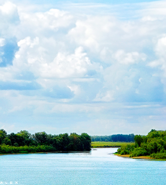 photo "On the Irtysh river" tags: landscape, summer