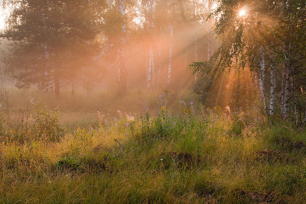 photo "***" tags: landscape, sunset