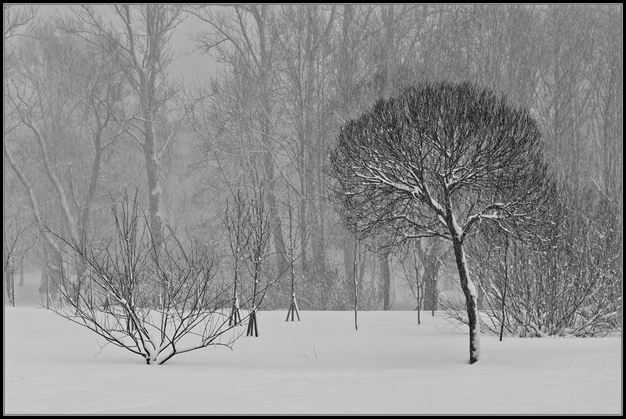 photo "***" tags: landscape, winter