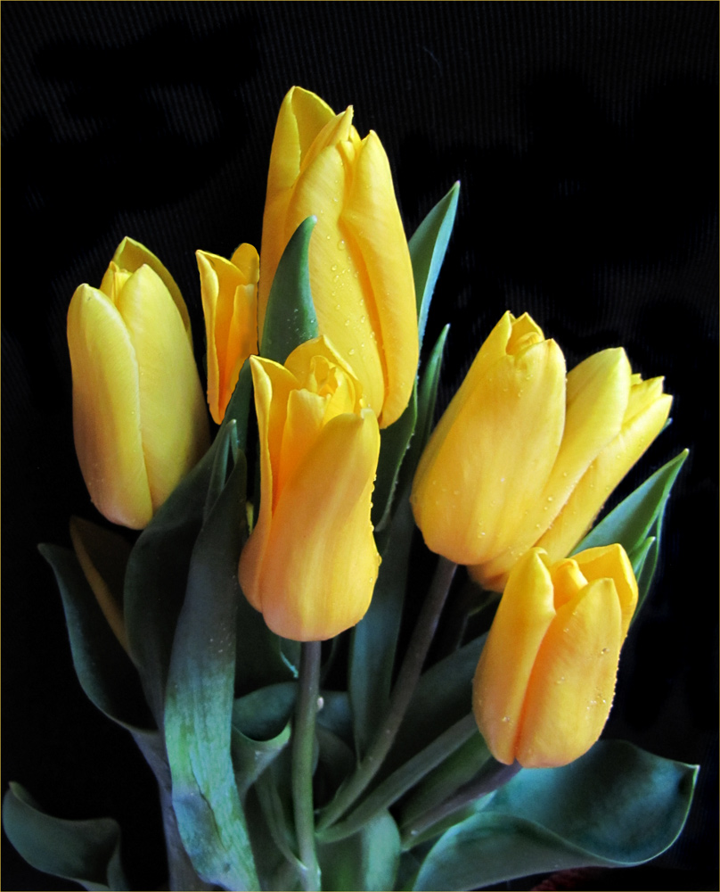 photo "***" tags: nature, misc., flowers