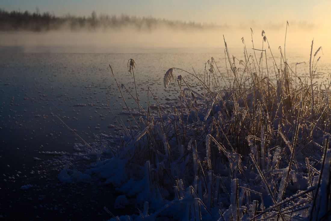 photo "***" tags: nature, 