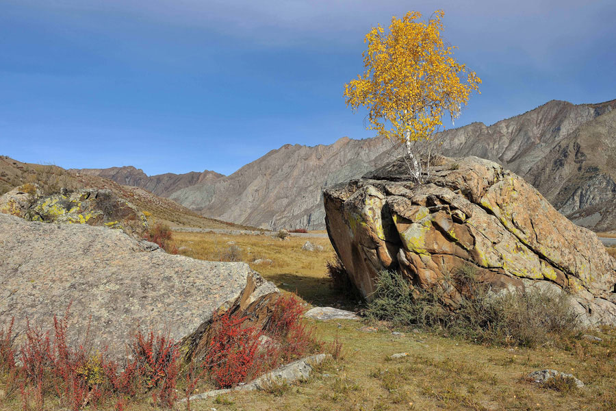 photo "***" tags: landscape, mountains