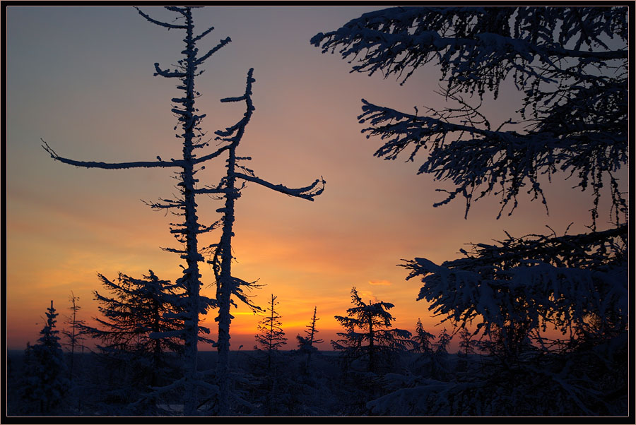 photo "***" tags: landscape, forest, sunset
