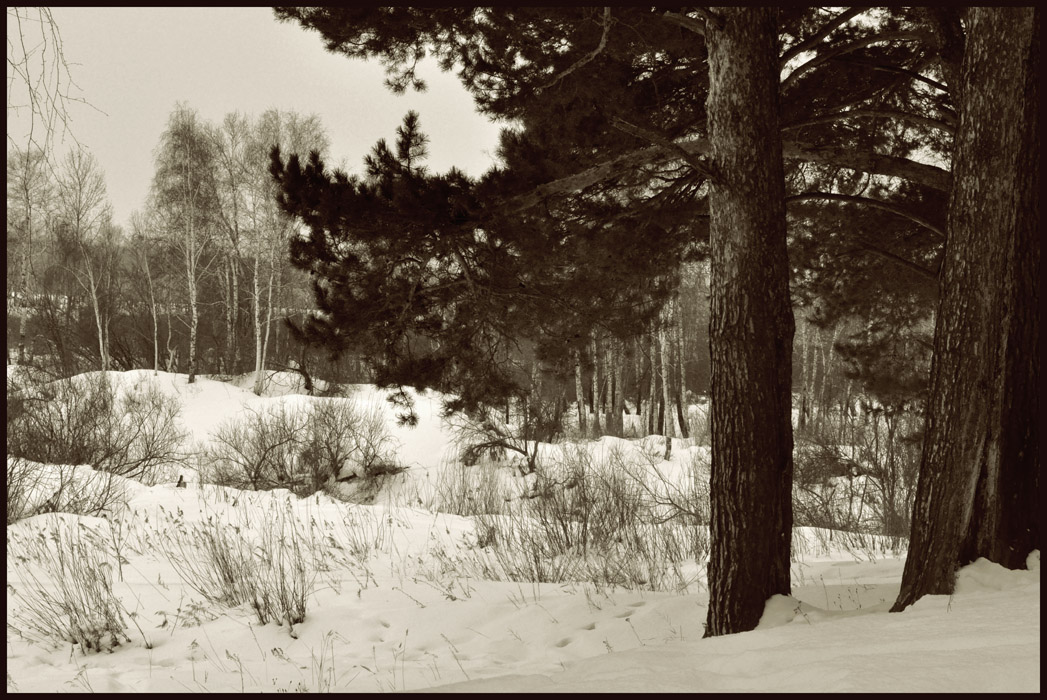 фото "Спят..." метки: пейзаж, зима, лес