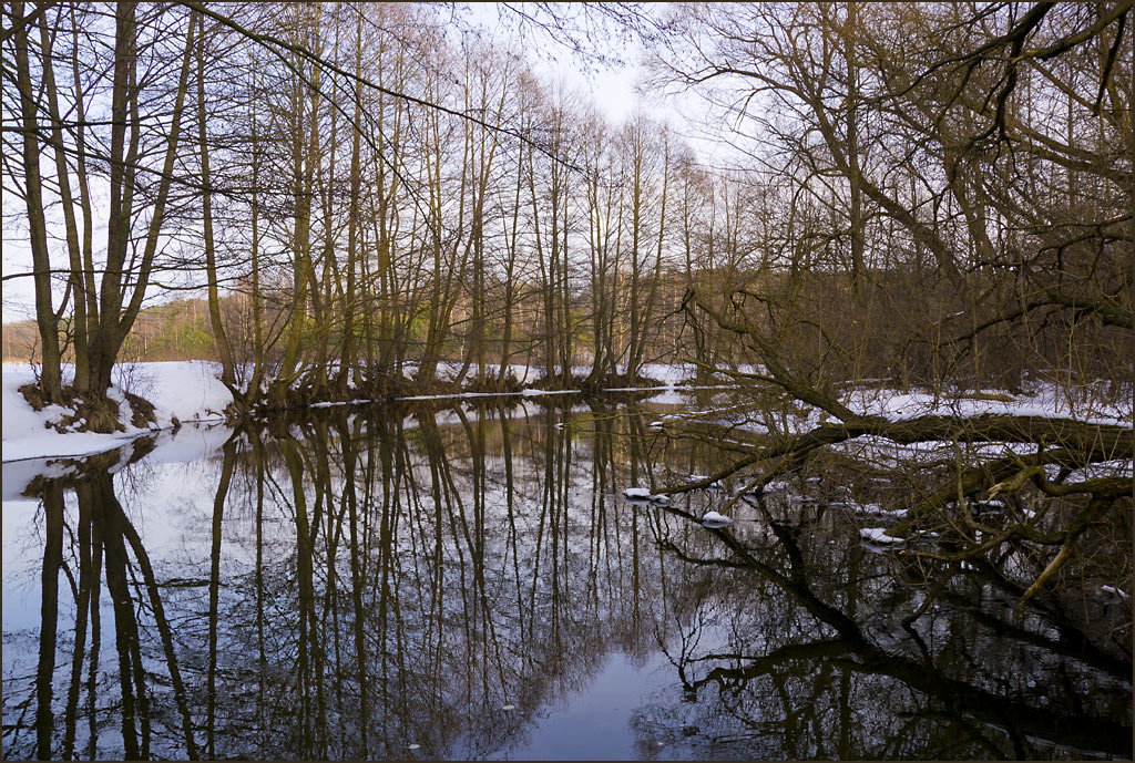 photo "Evening Silence" tags: landscape, spring, water