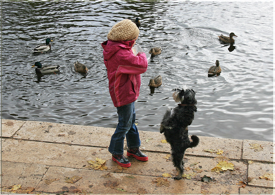 photo "And for me for me toooo....." tags: genre, nature, pets/farm animals