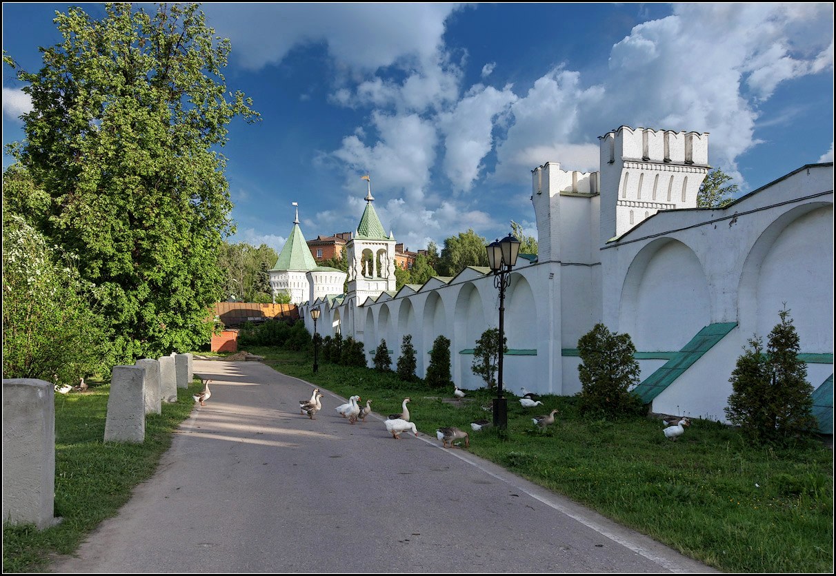 photo "monastic geese))" tags: landscape, summer