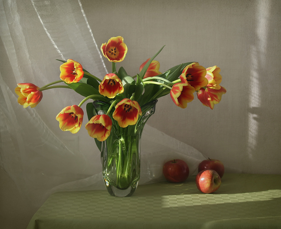 photo "I love tulips..." tags: still life, 