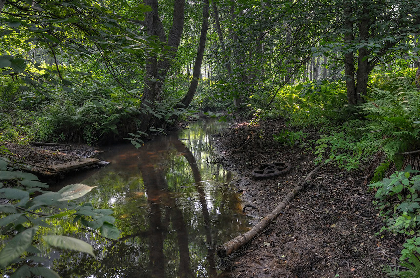 photo "***" tags: landscape, summer, water