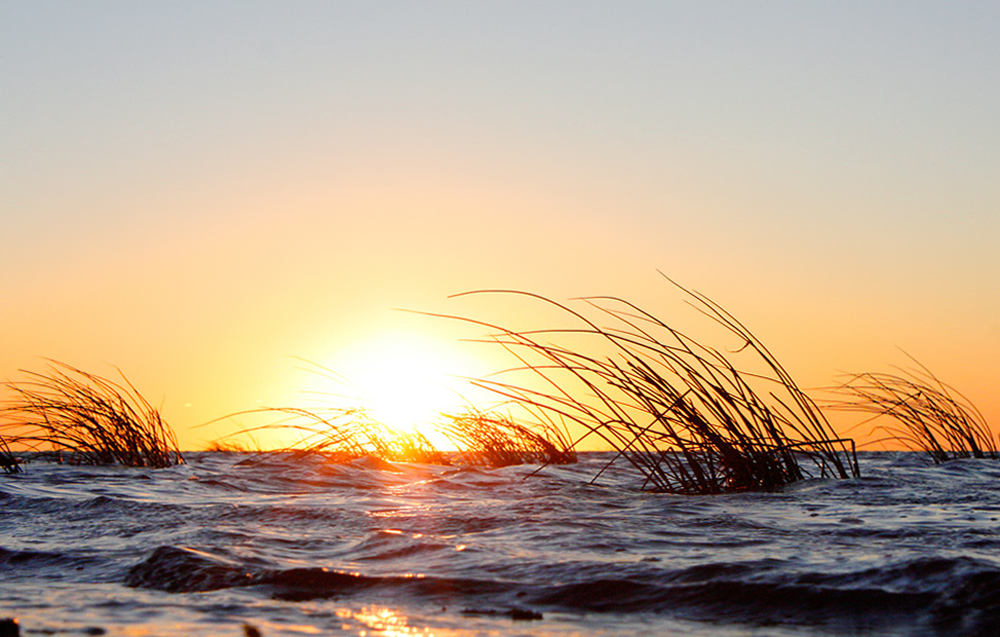 photo "Dawn comes to those who have seen the darkness ..." tags: landscape, summer, water, фотопоэзия