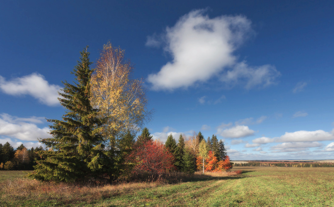 photo "***" tags: landscape, autumn