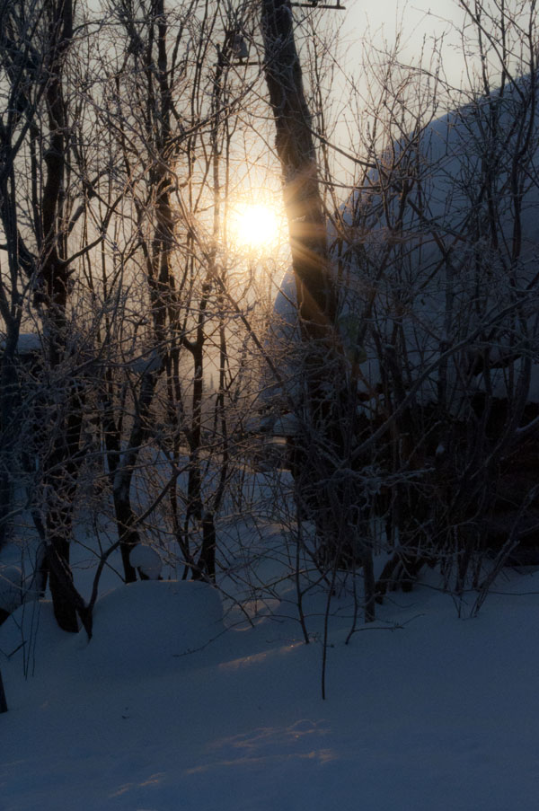 photo "***" tags: landscape, winter