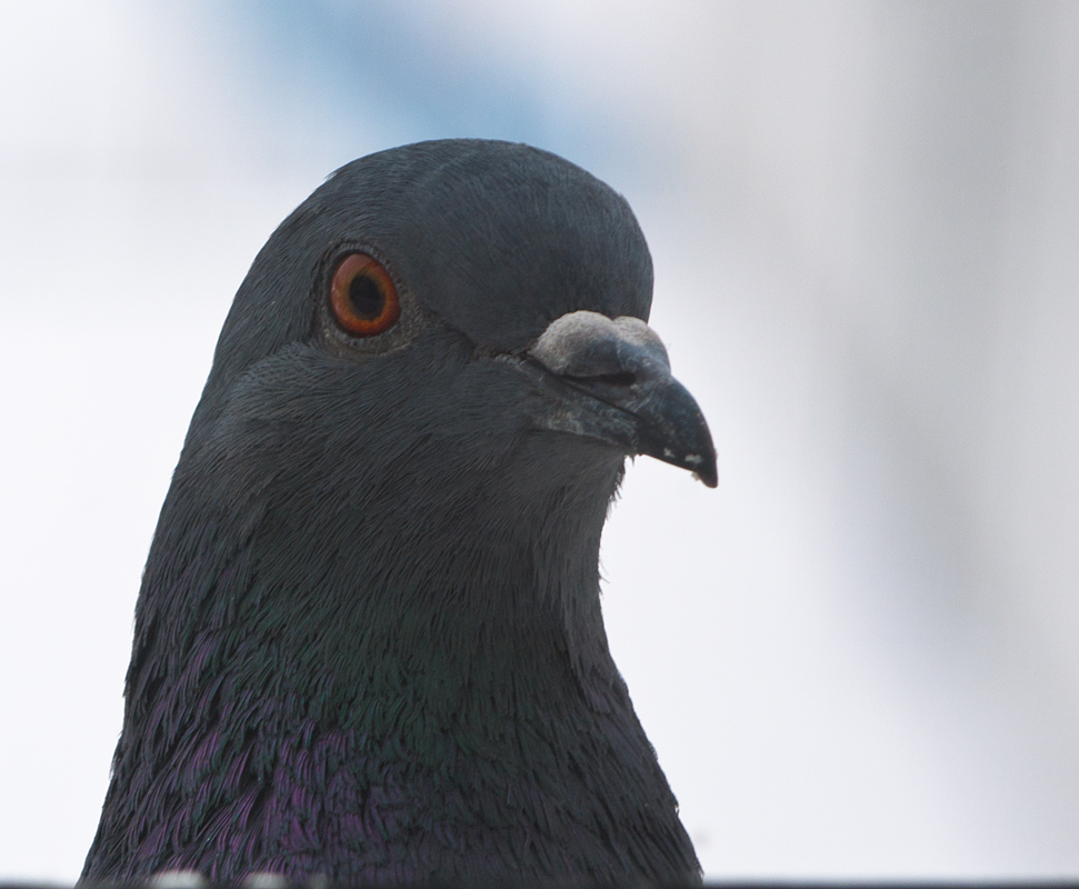 photo "I have a spoon while he stares out the window)" tags: portrait, macro and close-up, 