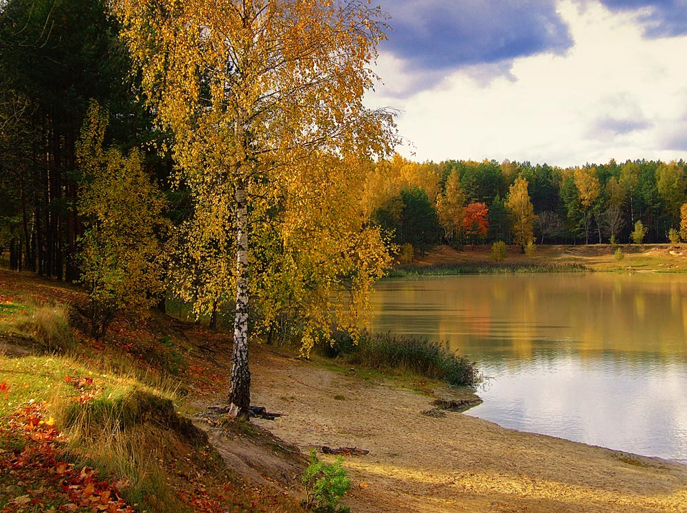 фото "Осень" метки: пейзаж, 