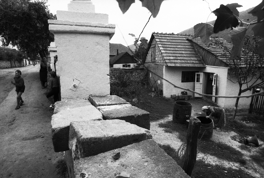 photo "***" tags: genre, black&white, 