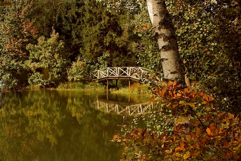 фото "мосток" метки: пейзаж, природа, осень