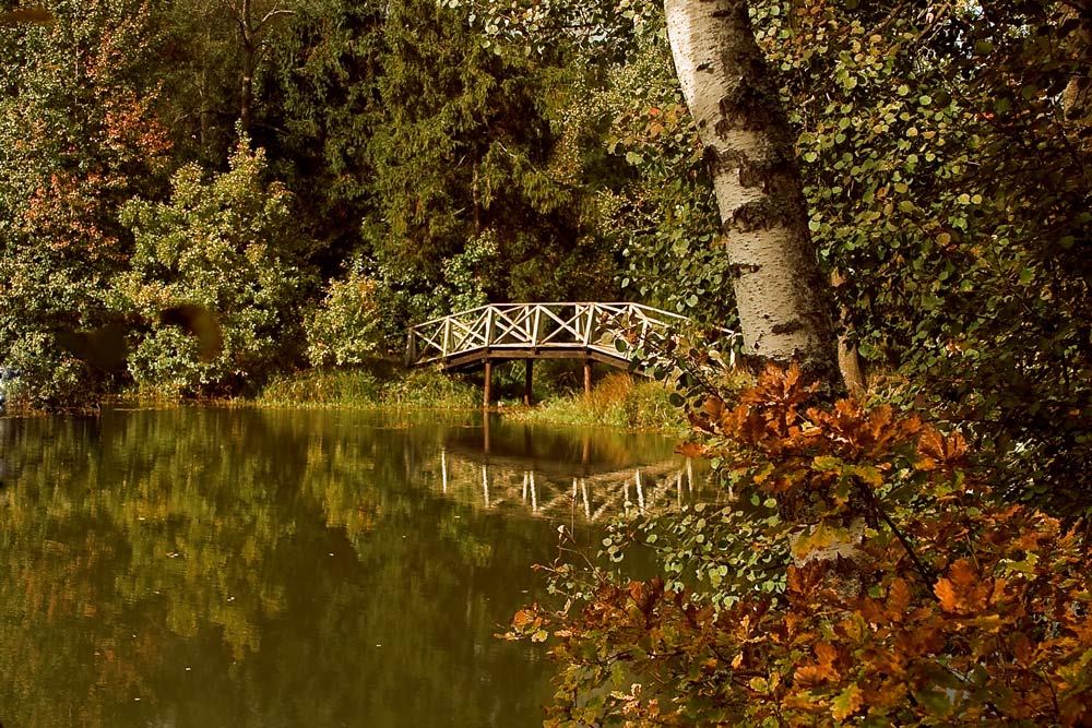 photo "***" tags: landscape, nature, autumn