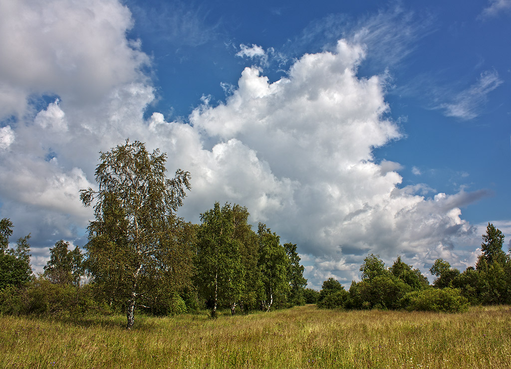 photo "***" tags: landscape, summer