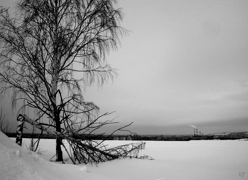 фото "Россия, земля обетованная..." метки: пейзаж, черно-белые, зима