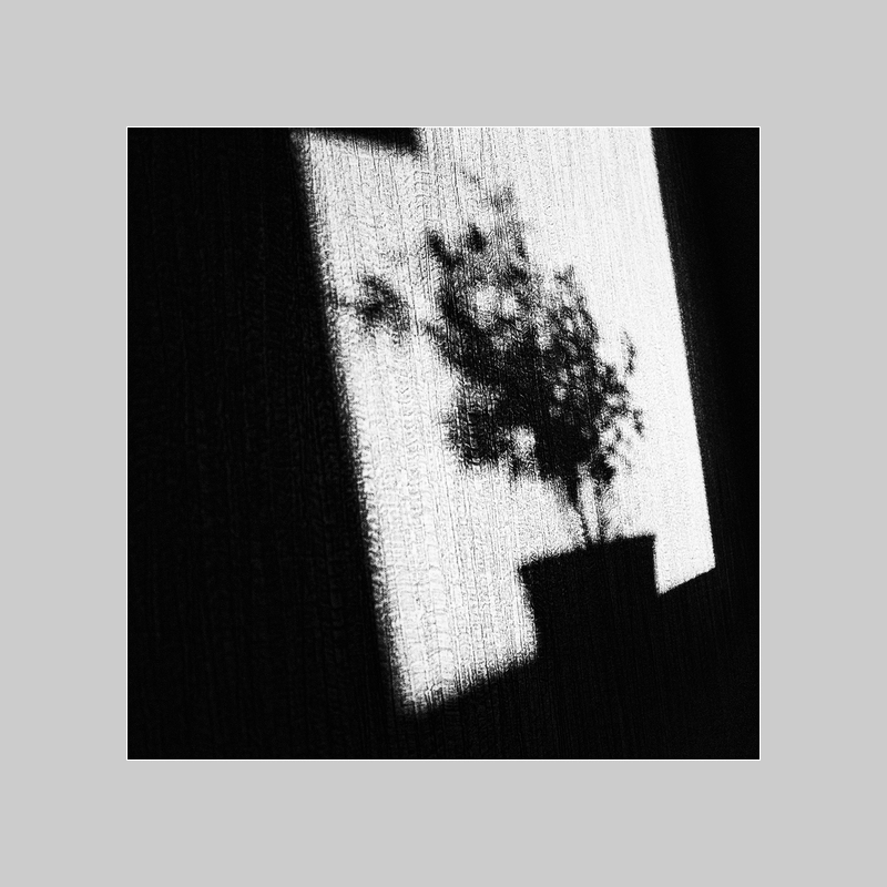 photo "***" tags: black&white, 