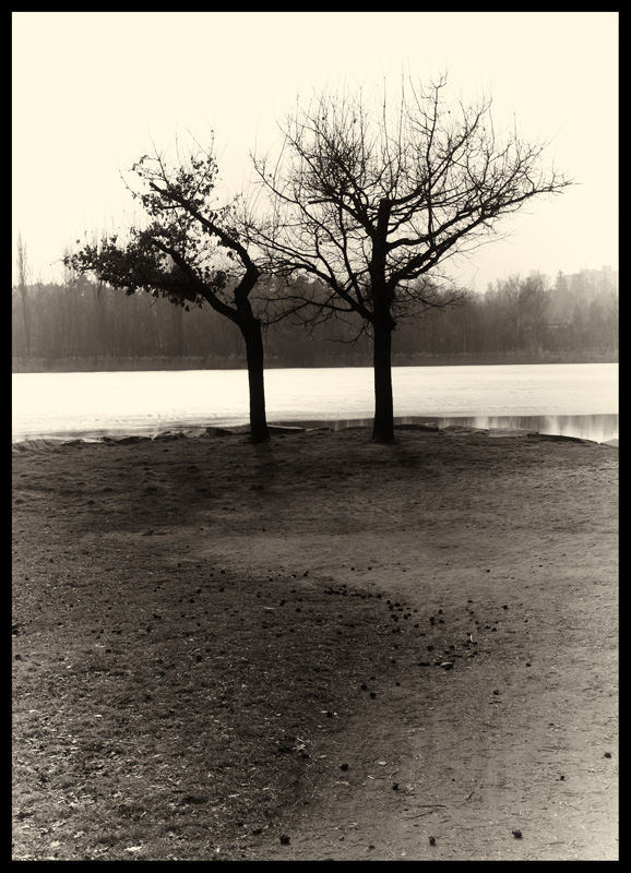 photo "affinity" tags: old-time, landscape, 