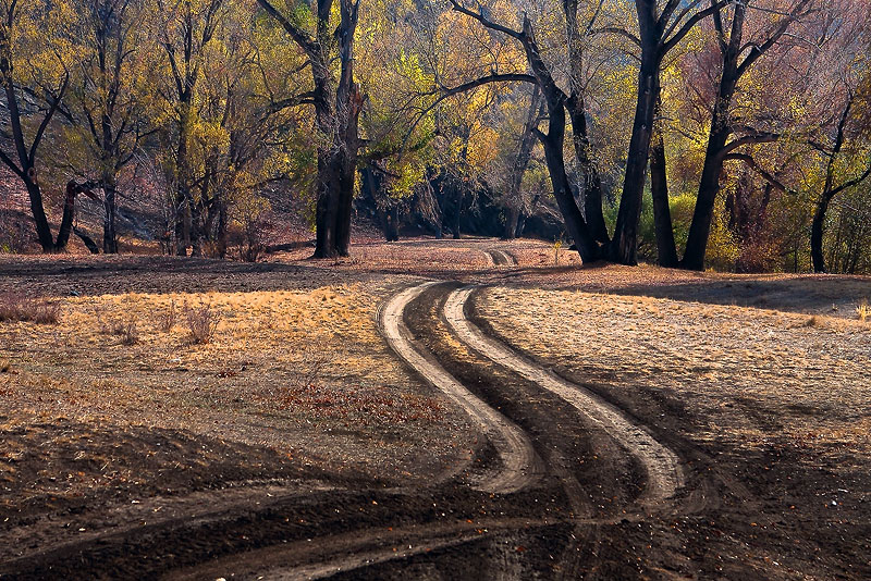 photo "***" tags: landscape, autumn, forest