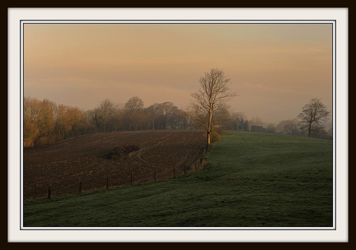 photo "***" tags: landscape, 