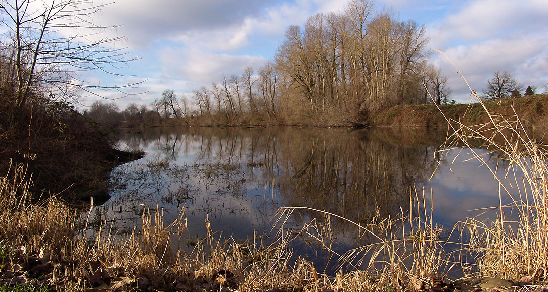 photo "вот и весна ....." tags: landscape, 