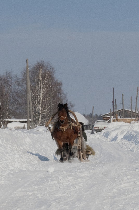 photo "***" tags: landscape, winter