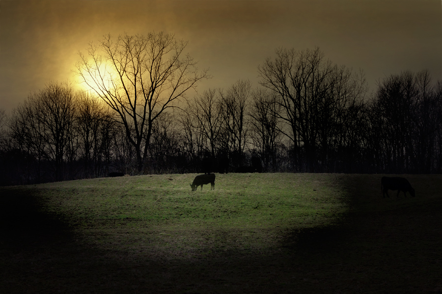 photo "End of Day" tags: landscape, sunset