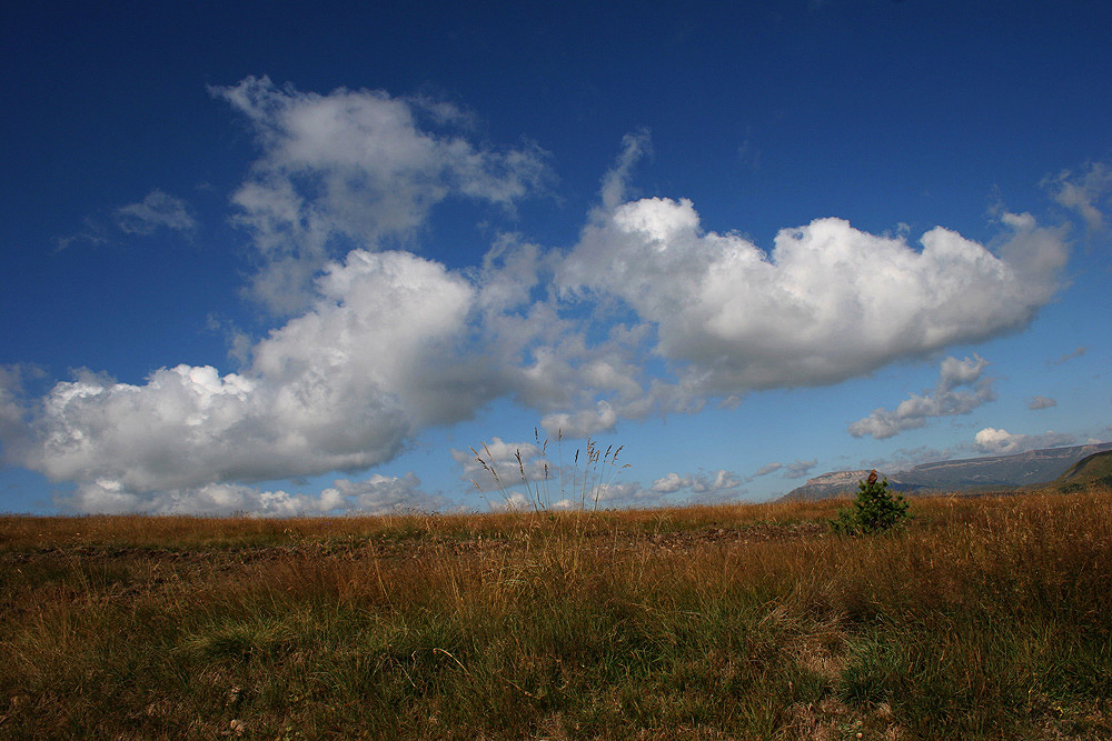 photo "Dancing clouds" tags: landscape, clouds, summer