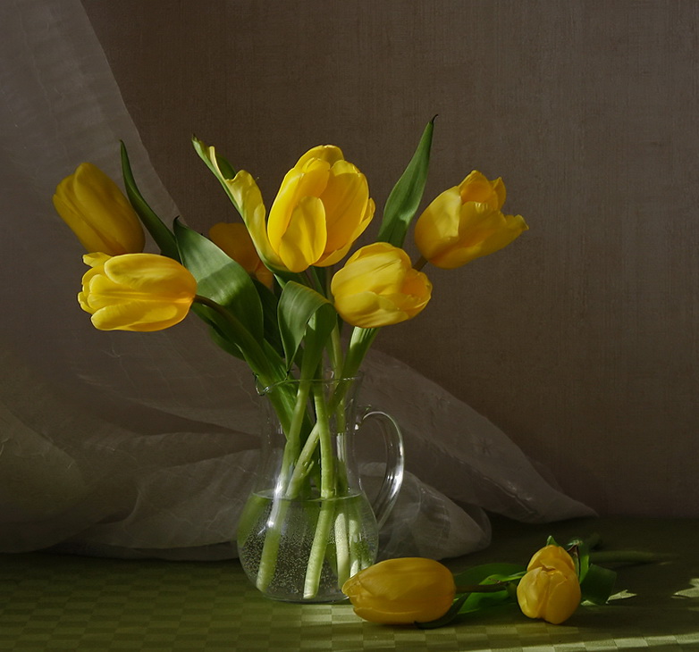 photo "About yellow tulips..." tags: still life, 