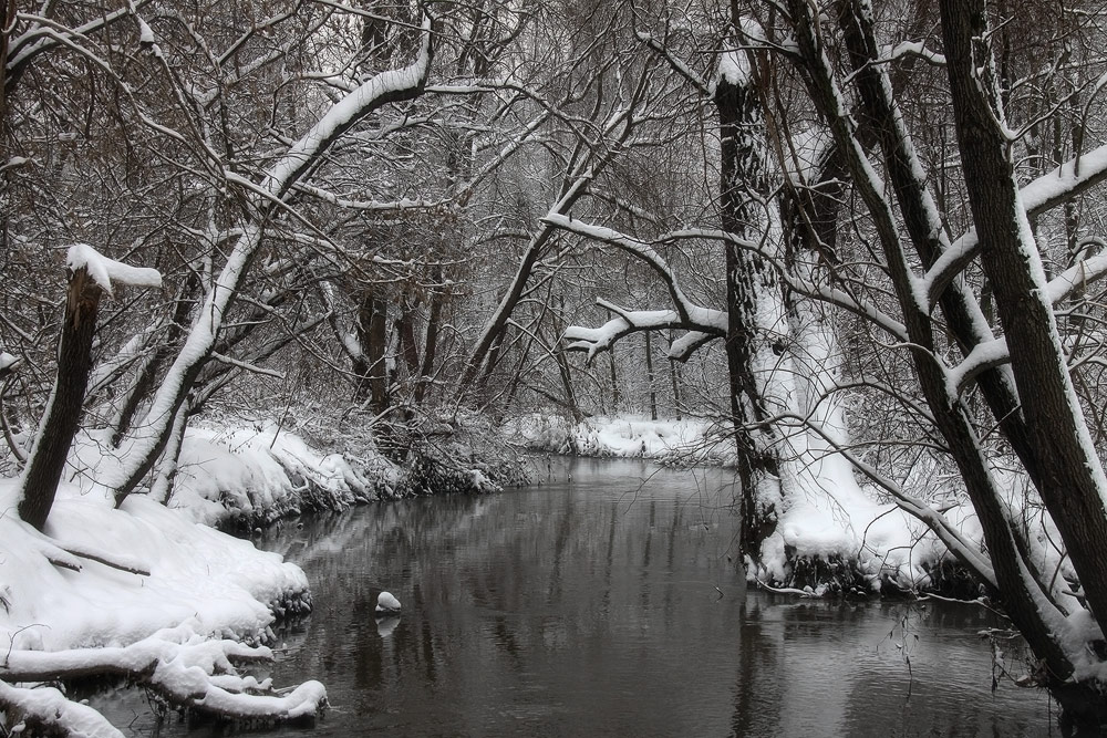 фото "Черно-белая зима" метки: пейзаж, зима
