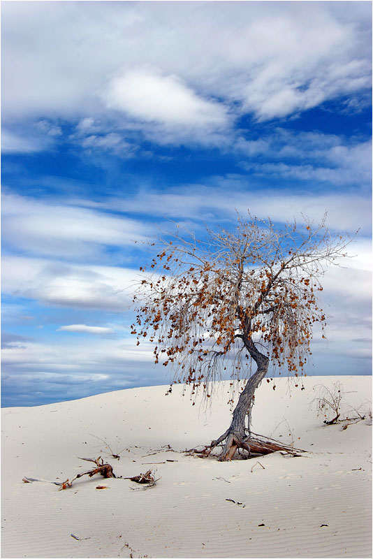 photo "Thirst for the life" tags: landscape, travel, 