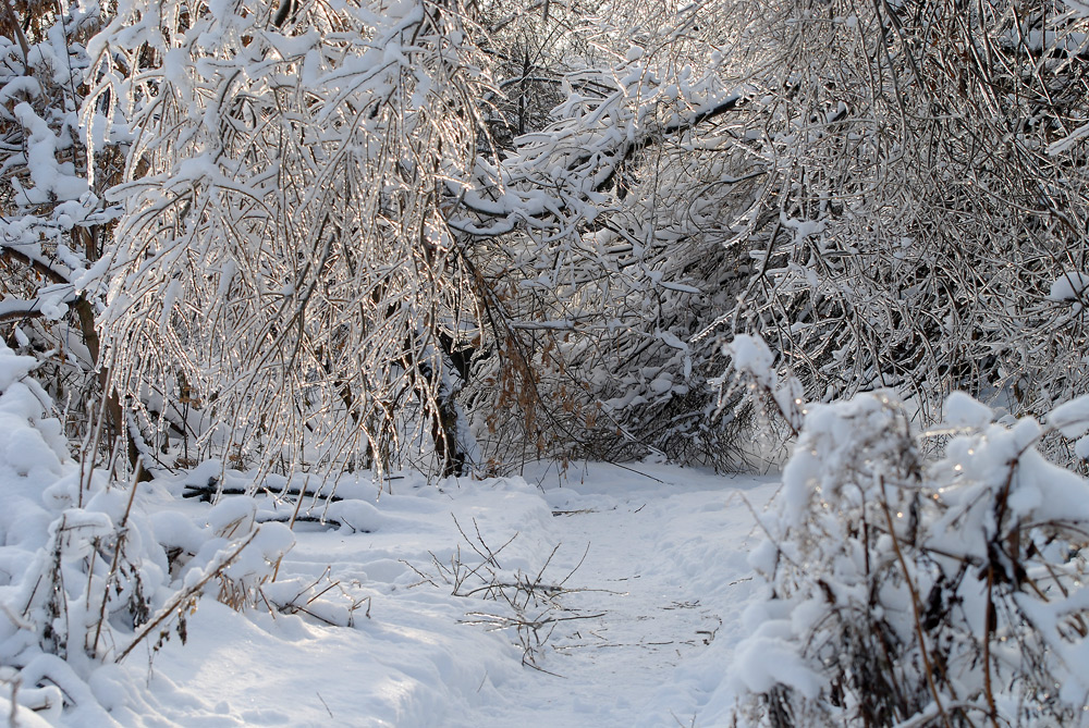 photo "***" tags: landscape, winter