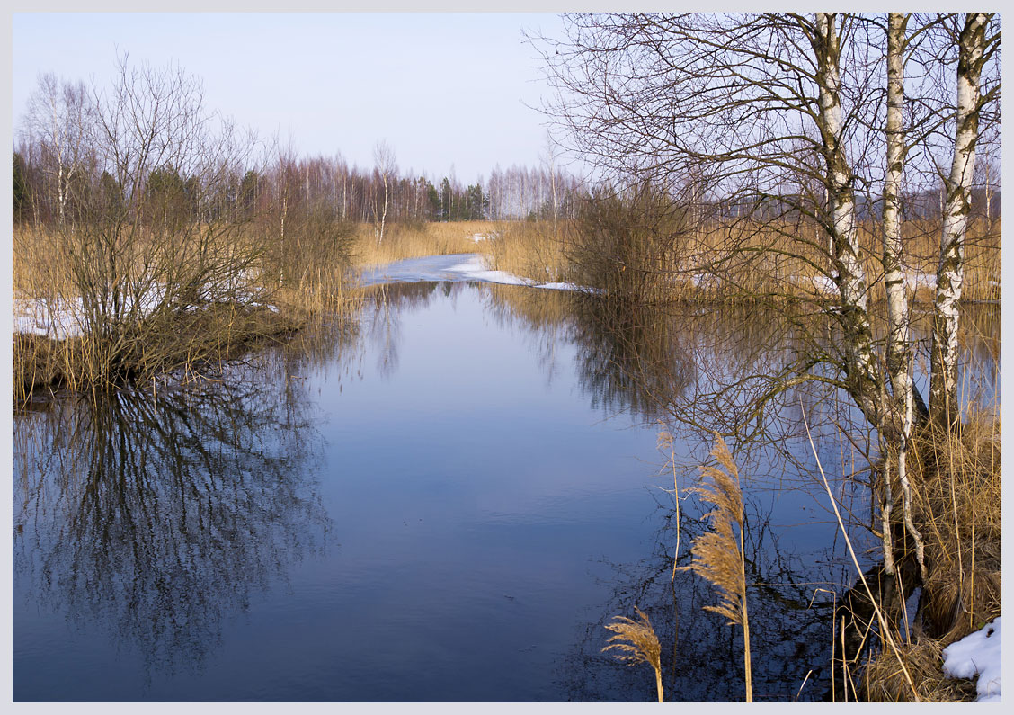 photo "Blue-eyed Land" tags: landscape, spring, water