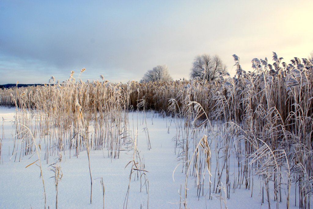 photo "***" tags: landscape, winter