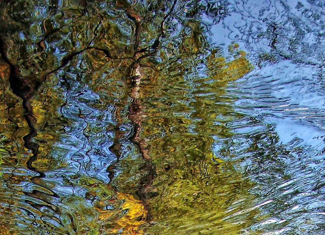 photo "****" tags: abstract, nature, 
