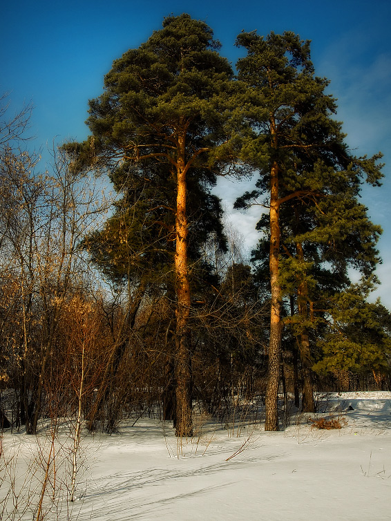 фото "Когда весна придет" метки: пейзаж, весна