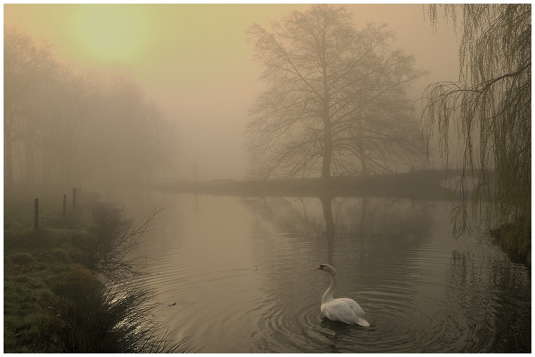 photo "***" tags: landscape, 