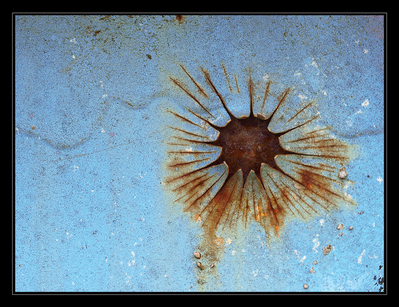 photo "Inner stress" tags: macro and close-up, abstract, 