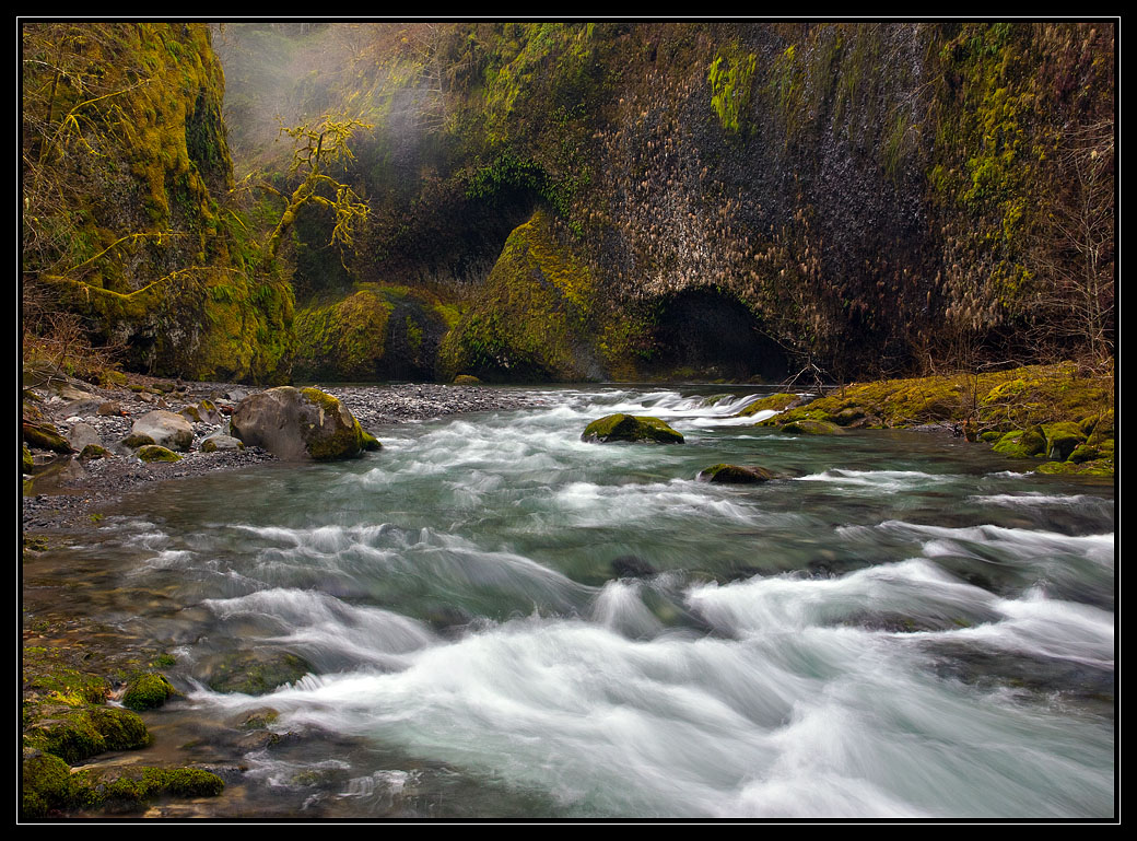 photo "Hold up !" tags: landscape, forest, water