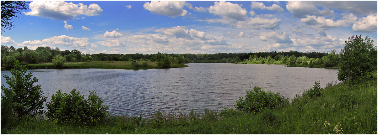 фото "Snezhet river gulf (near Bryansk)" метки: пейзаж, лес